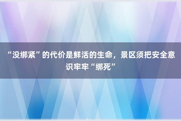 “没绑紧”的代价是鲜活的生命，景区须把安全意识牢牢“绑死”