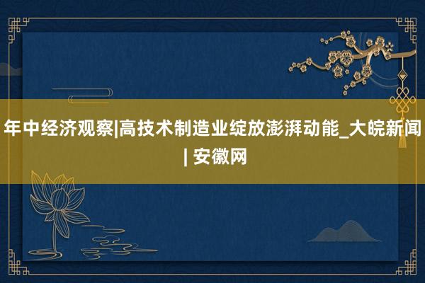 年中经济观察|高技术制造业绽放澎湃动能_大皖新闻 | 安徽网