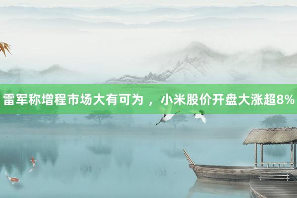 雷军称增程市场大有可为 ，小米股价开盘大涨超8%