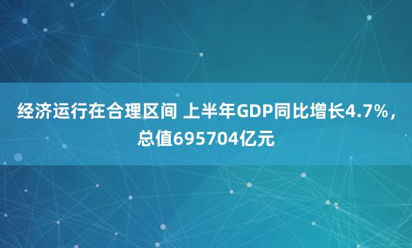 经济运行在合理区间 上半年GDP同比增长4.7%，总值695704亿元