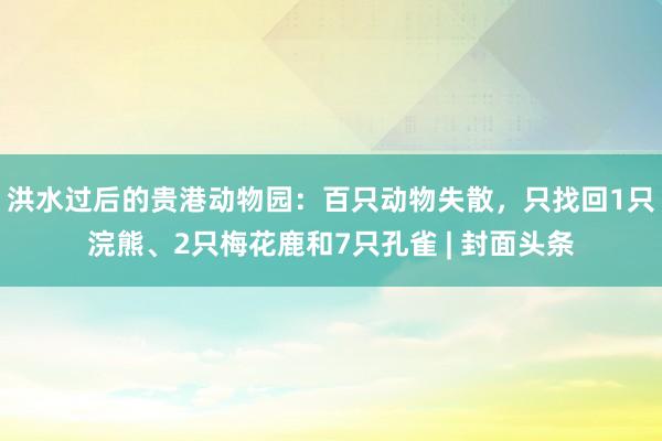 洪水过后的贵港动物园：百只动物失散，只找回1只浣熊、2只梅花鹿和7只孔雀 | 封面头条