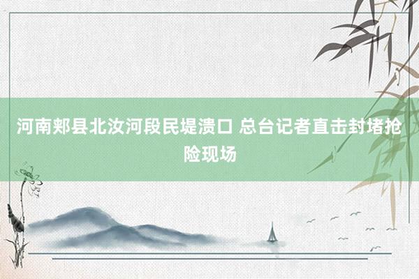 河南郏县北汝河段民堤溃口 总台记者直击封堵抢险现场