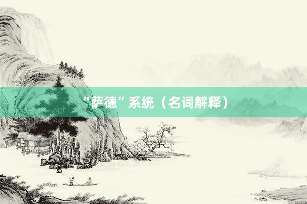 “萨德”系统（名词解释）