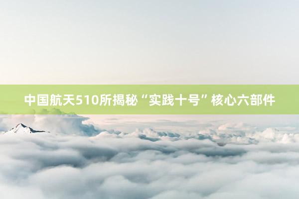 中国航天510所揭秘“实践十号”核心六部件