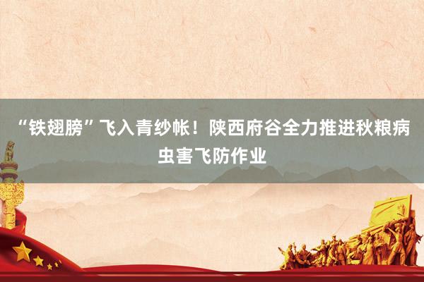 “铁翅膀”飞入青纱帐！陕西府谷全力推进秋粮病虫害飞防作业