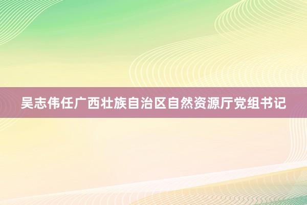 吴志伟任广西壮族自治区自然资源厅党组书记