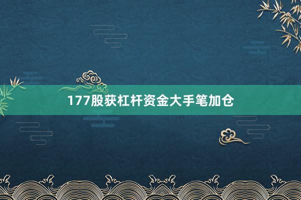 177股获杠杆资金大手笔加仓