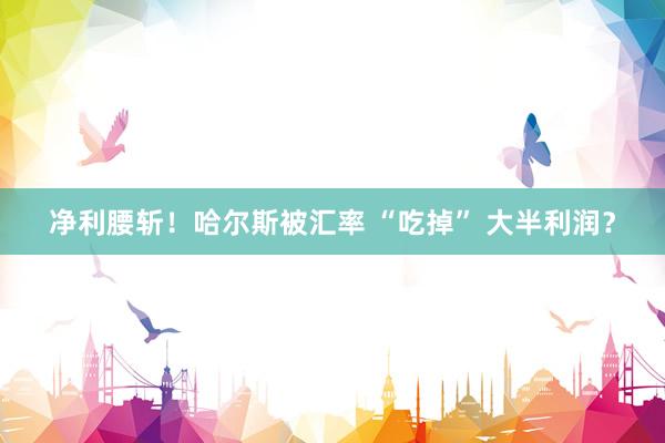 净利腰斩！哈尔斯被汇率 “吃掉” 大半利润？