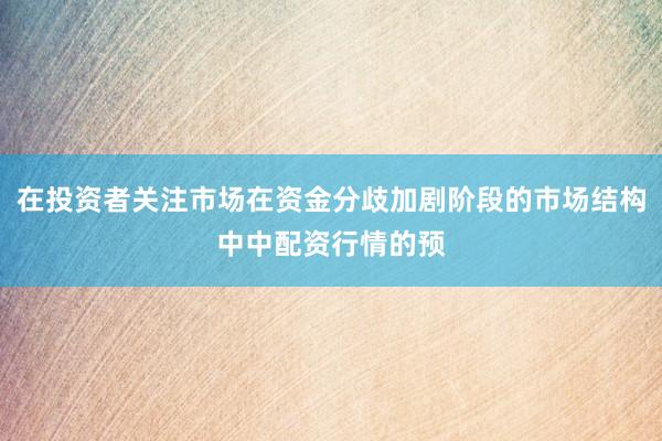 在投资者关注市场在资金分歧加剧阶段的市场结构中中配资行情的预