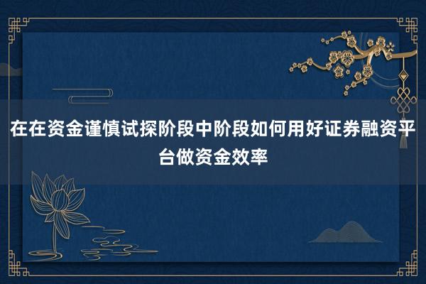 在在资金谨慎试探阶段中阶段如何用好证券融资平台做资金效率
