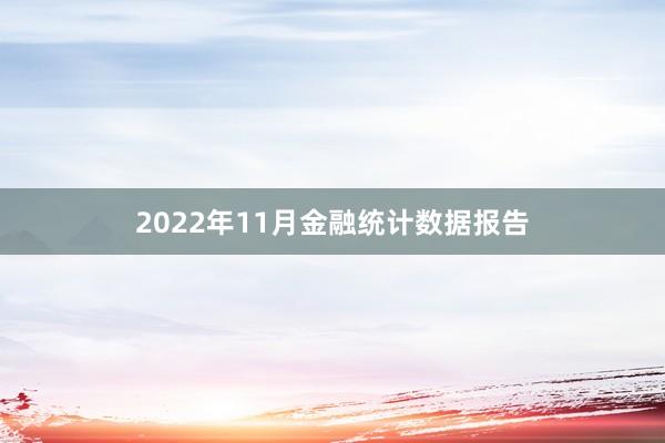2022年11月金融统计数据报告