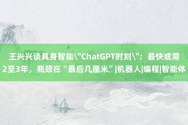 王兴兴谈具身智能