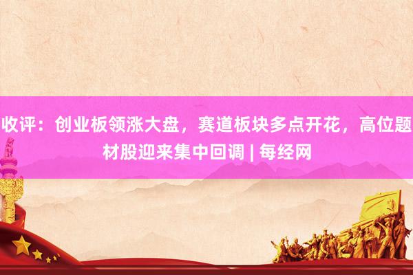 收评：创业板领涨大盘，赛道板块多点开花，高位题材股迎来集中回调 | 每经网