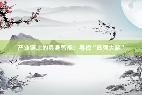 产业链上的具身智能：寻找“最强大脑”
