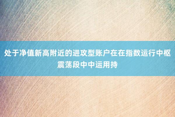 处于净值新高附近的进攻型账户在在指数运行中枢震荡段中中运用持