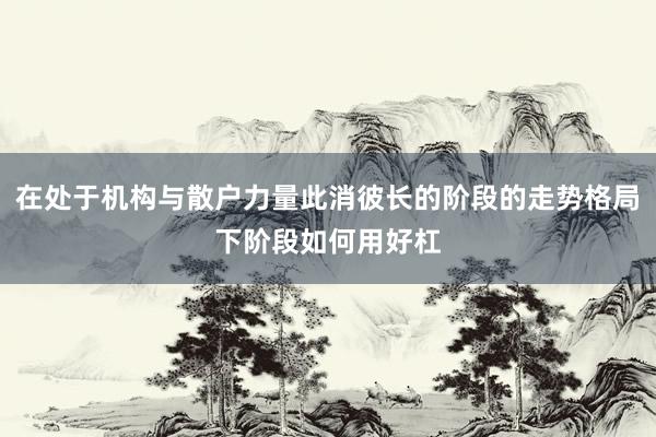 在处于机构与散户力量此消彼长的阶段的走势格局下阶段如何用好杠