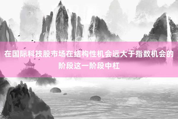 在国际科技股市场在结构性机会远大于指数机会的阶段这一阶段中杠