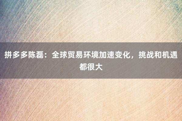 拼多多陈磊：全球贸易环境加速变化，挑战和机遇都很大
