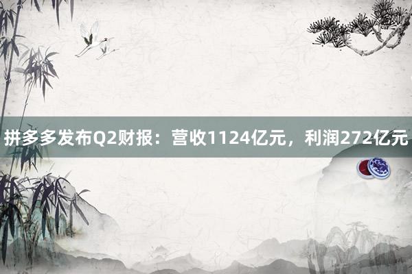 拼多多发布Q2财报：营收1124亿元，利润272亿元