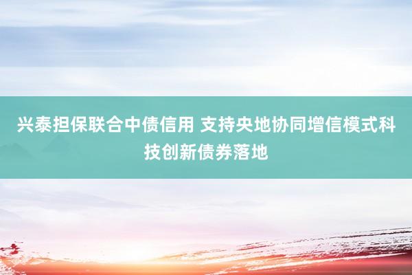 兴泰担保联合中债信用 支持央地协同增信模式科技创新债券落地