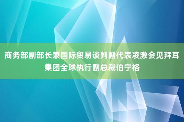 商务部副部长兼国际贸易谈判副代表凌激会见拜耳集团全球执行副总裁伯宁格