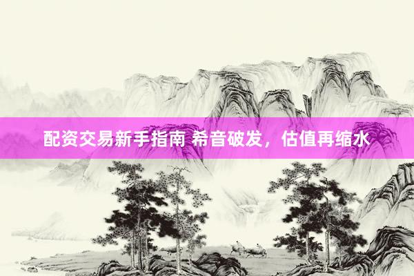 配资交易新手指南 希音破发，估值再缩水