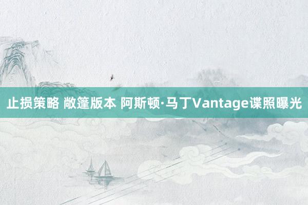 止损策略 敞篷版本 阿斯顿·马丁Vantage谍照曝光