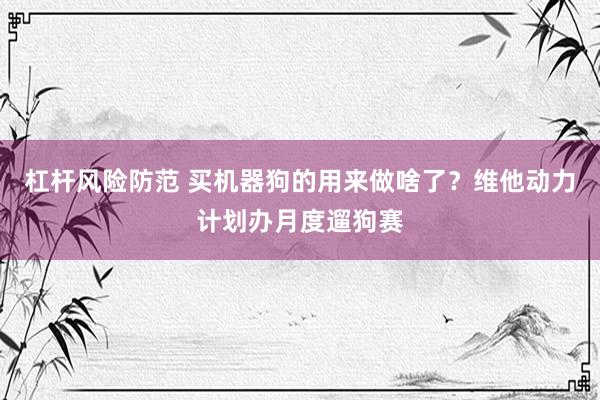 杠杆风险防范 买机器狗的用来做啥了？维他动力计划办月度遛狗赛