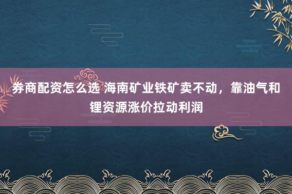券商配资怎么选 海南矿业铁矿卖不动，靠油气和锂资源涨价拉动利润