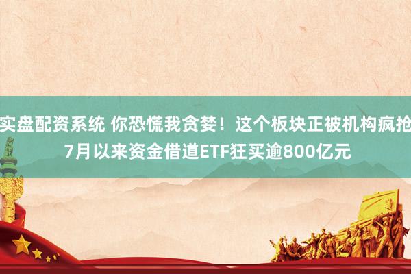实盘配资系统 你恐慌我贪婪！这个板块正被机构疯抢 7月以来资金借道ETF狂买逾800亿元