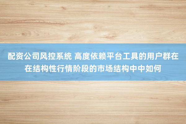 配资公司风控系统 高度依赖平台工具的用户群在在结构性行情阶段的市场结构中中如何