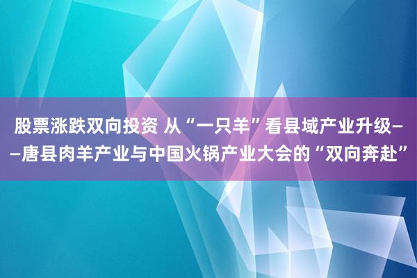 股票涨跌双向投资 从“一只羊”看县域产业升级——唐县肉羊产业与中国火锅产业大会的“双向奔赴”