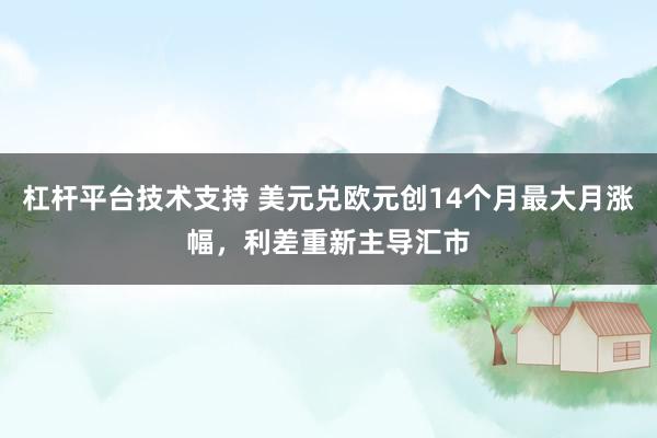 杠杆平台技术支持 美元兑欧元创14个月最大月涨幅，利差重新主导汇市