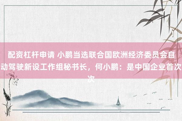 配资杠杆申请 小鹏当选联合国欧洲经济委员会自动驾驶新设工作组秘书长，何小鹏：是中国企业首次