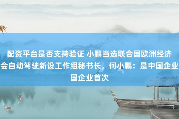 配资平台是否支持验证 小鹏当选联合国欧洲经济委员会自动驾驶新设工作组秘书长，何小鹏：是中国企业首次