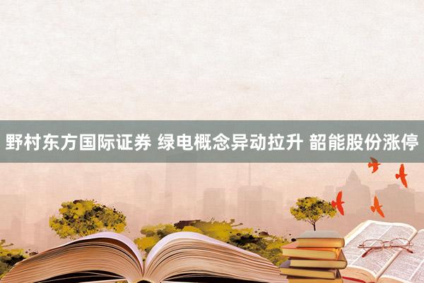 野村东方国际证券 绿电概念异动拉升 韶能股份涨停