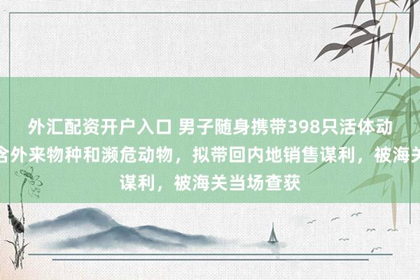 外汇配资开户入口 男子随身携带398只活体动物入关，含外来物种和濒危动物，拟带回内地销售谋利，被海关当场查获