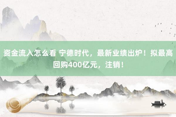 资金流入怎么看 宁德时代,最新业绩出炉!拟最高回购400亿元,注销!