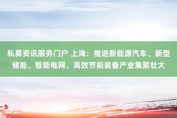 私募资讯服务门户 上海：推进新能源汽车、新型储能、智能电网、高效节能装备产业集聚壮大